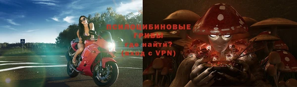 скорость mdpv Переславль-Залесский