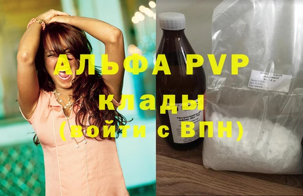гидра Пересвет